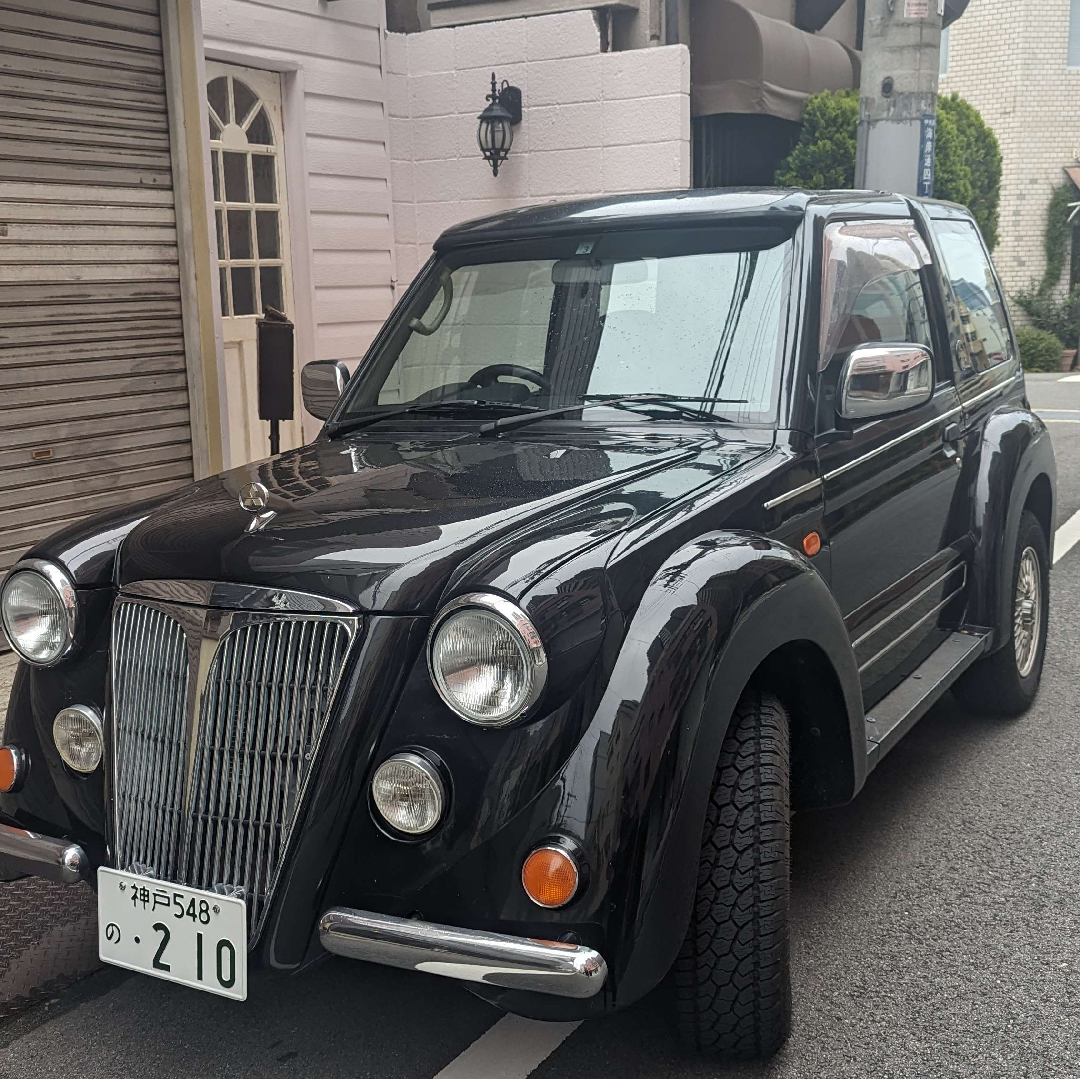 Flying pug from the side