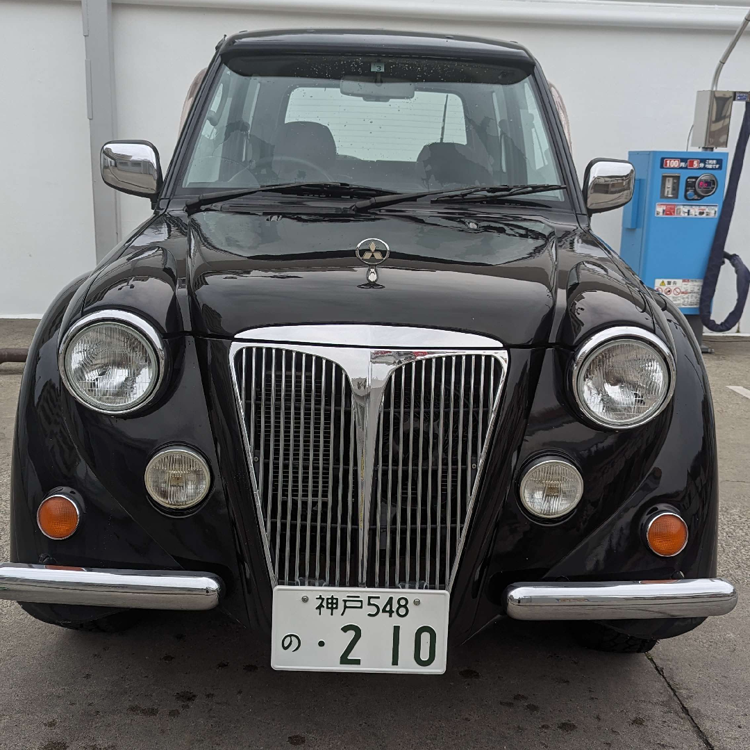 Flying pug from the front